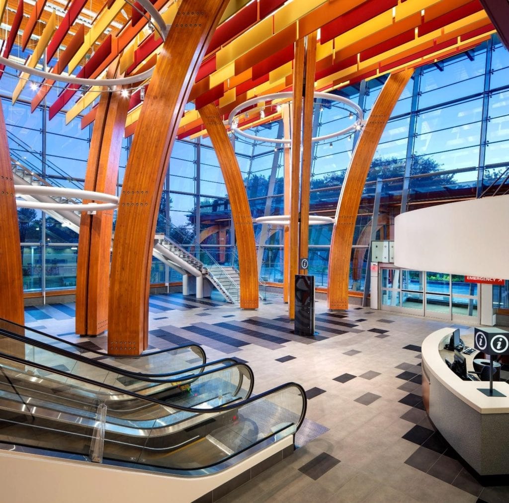 Timber Tonic: How Wood and Natural Materials Can Transform Healthcare ...