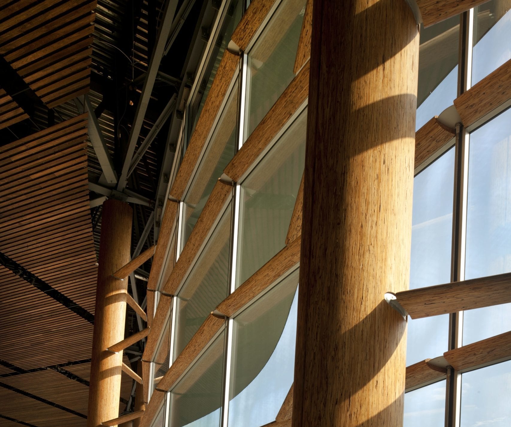 The interior of a mass timber building with wooden pillars and windows.