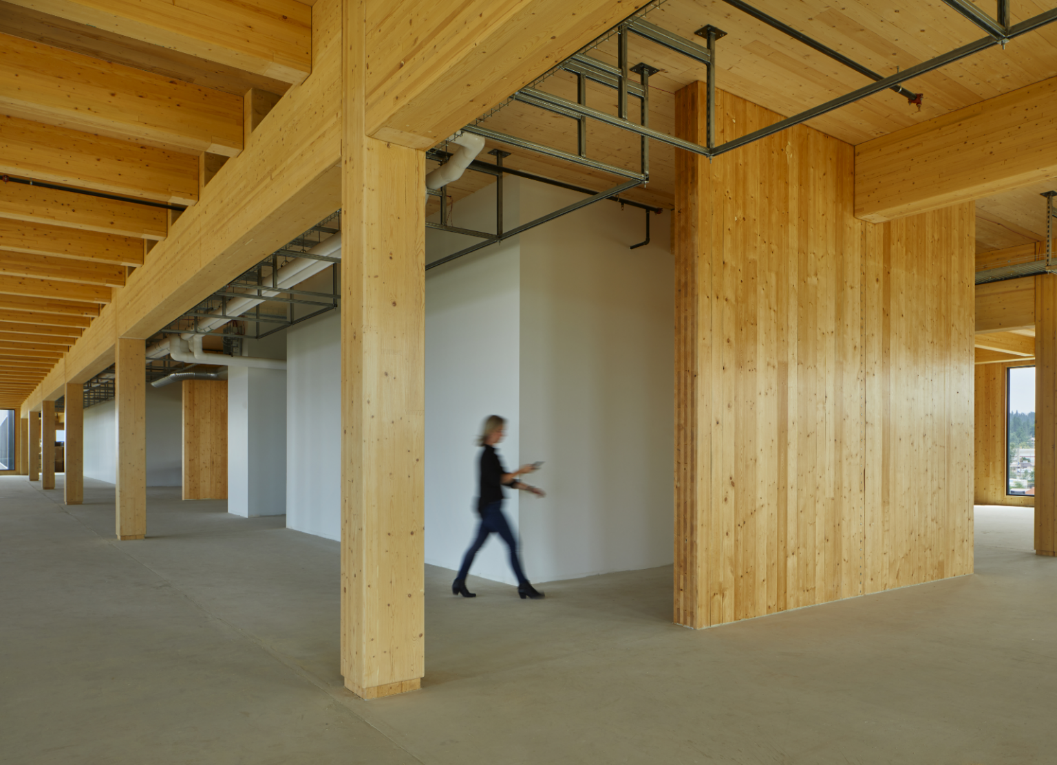 Image showcasing 9 Excellent Wood-Focused Webinars to Watch - Think Wood