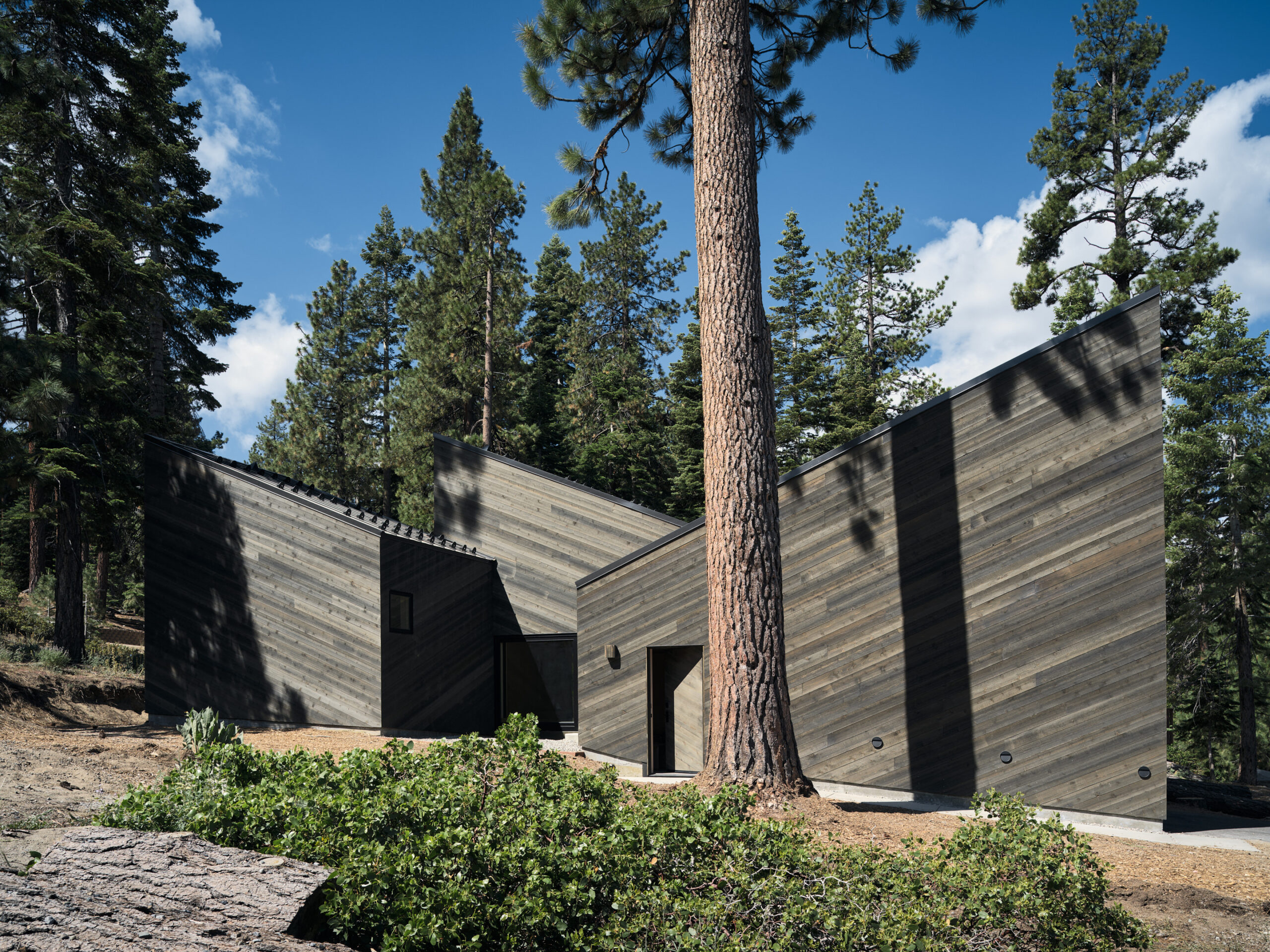 Exterior of Staggered Cabin in South Lake Tahoe, California, featuring dark cedar siding, angled rooflines, and surrounding pine trees.